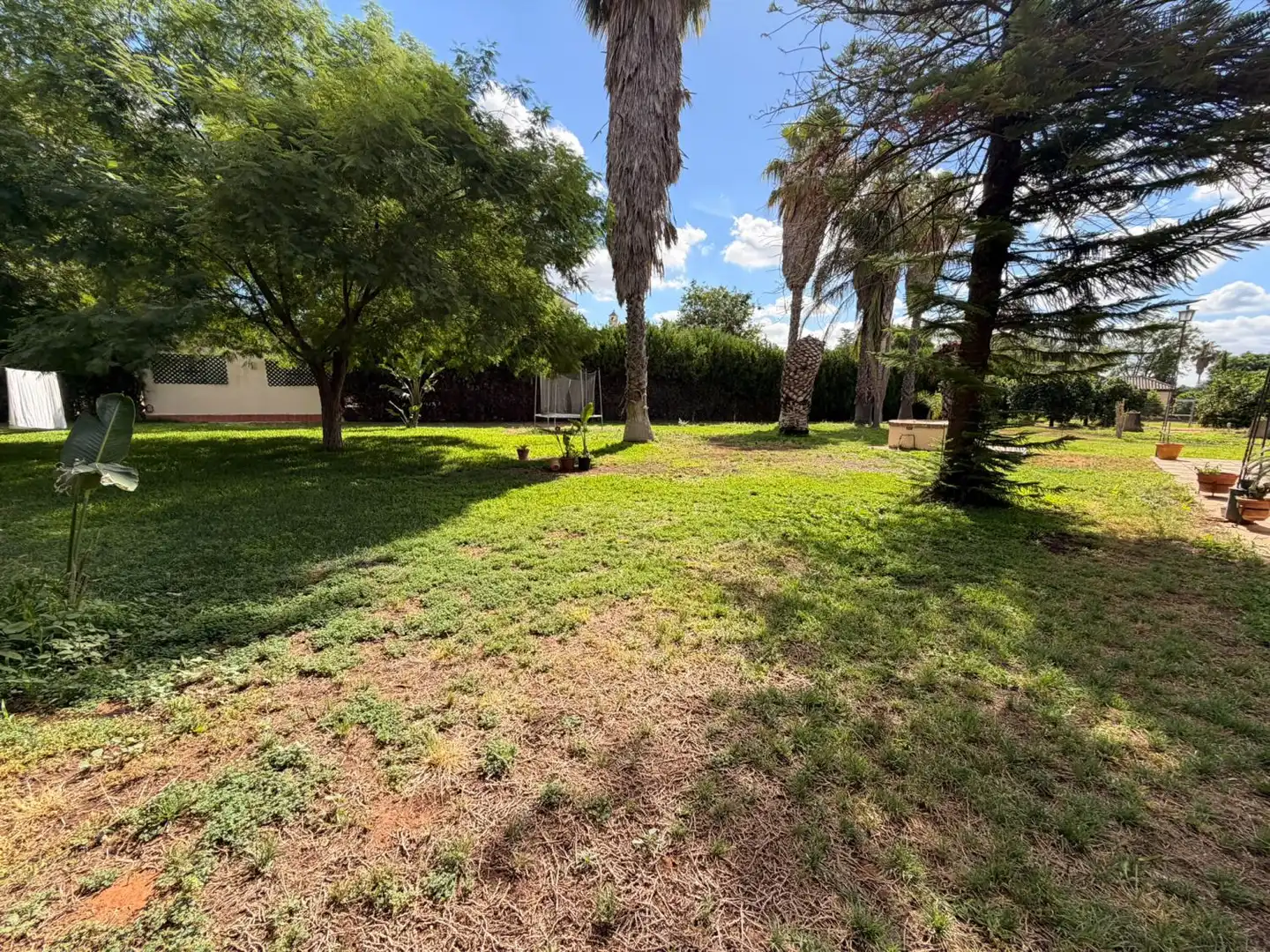 Villa à vendre à Sanlúcar la Mayor, imagen 19