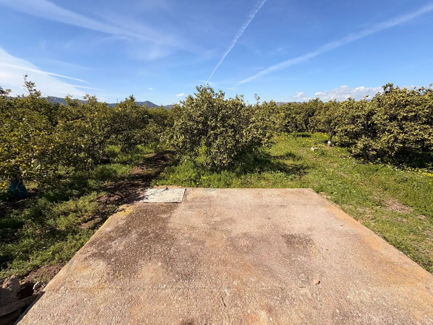 Rural land for sale in Almenara, imagen 11