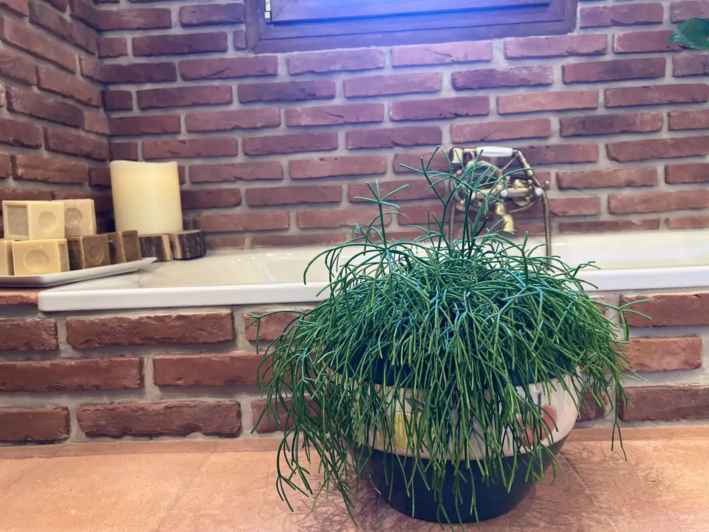 Baño de Casa o chalet en venta en Jaca con Calefacción, Trastero y Balcón