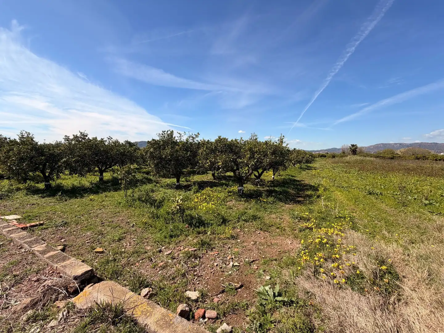 Rural land for sale in Almenara, imagen 18