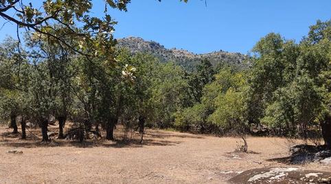 Photo 2 of Land for sale in Calle Xavier Cabello, 1, Centro - Manguilla, Madrid