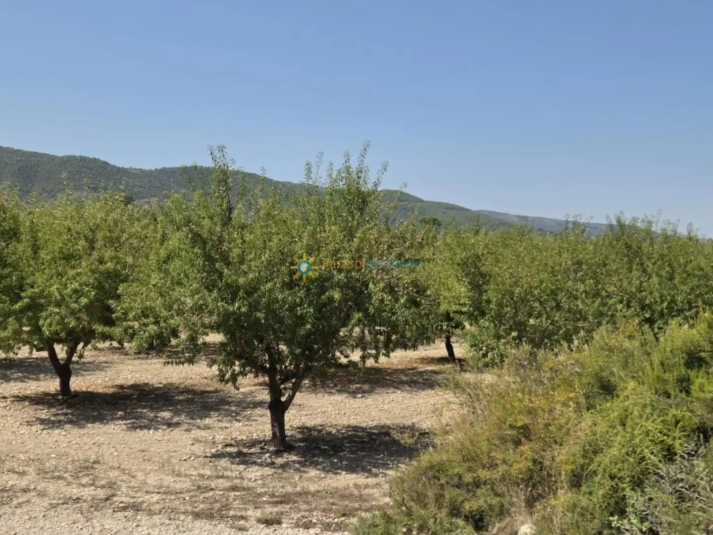 Country homes for sale in Bélgida  with Private garden and Storage room