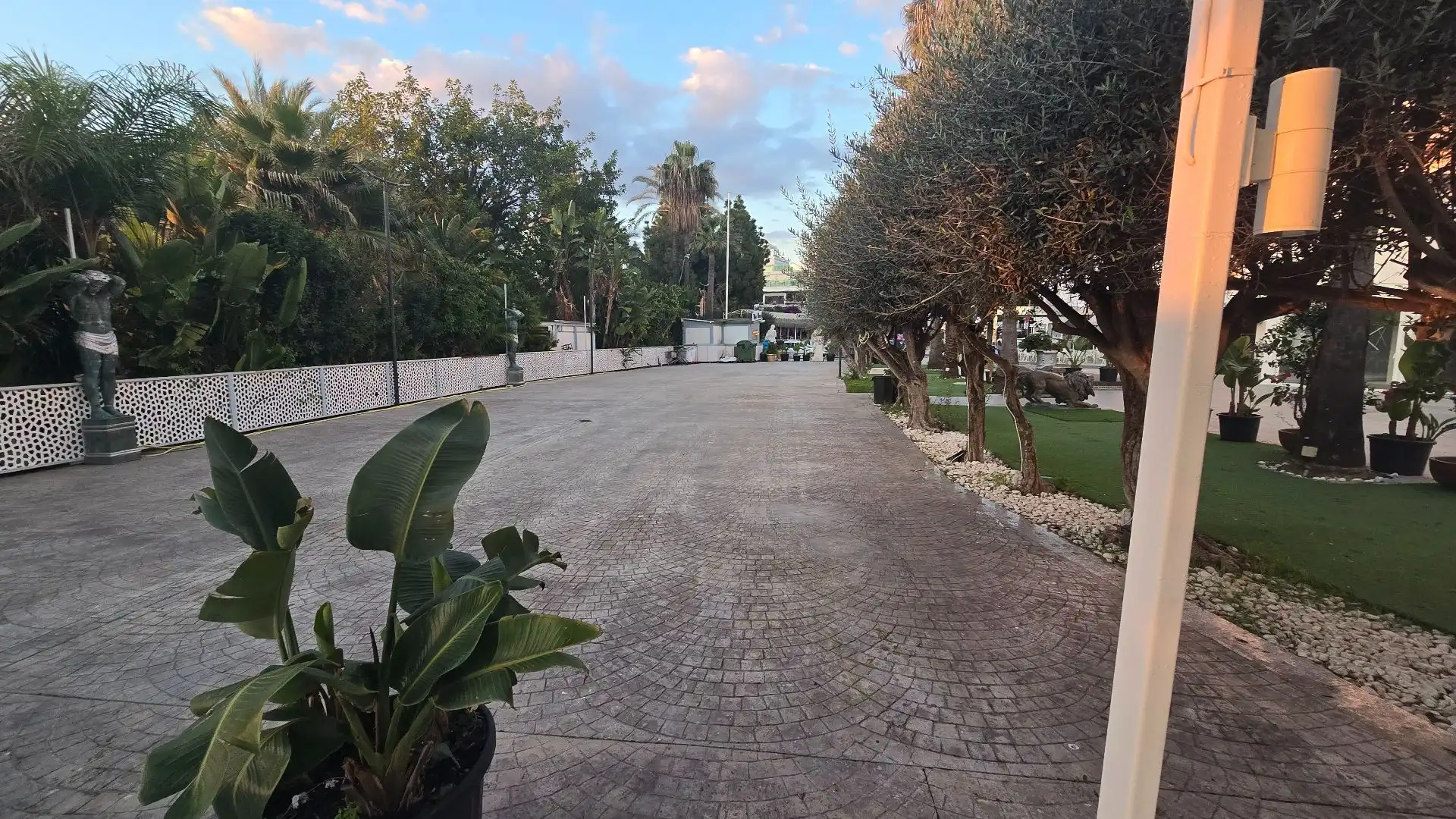 Local comercial en alquiler en Nueva Andalucía, imagen 11