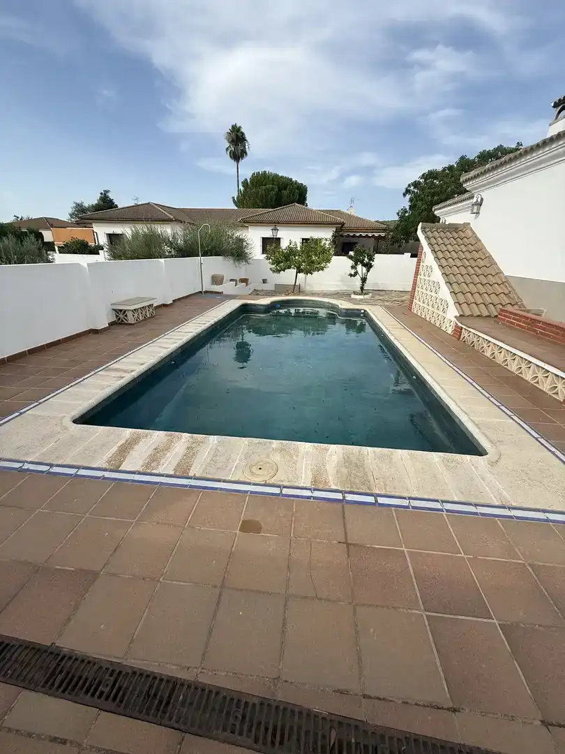 Swimming pool of Houses for rent in Arriate  with Air Conditioner, Swimming Pool and Furnished