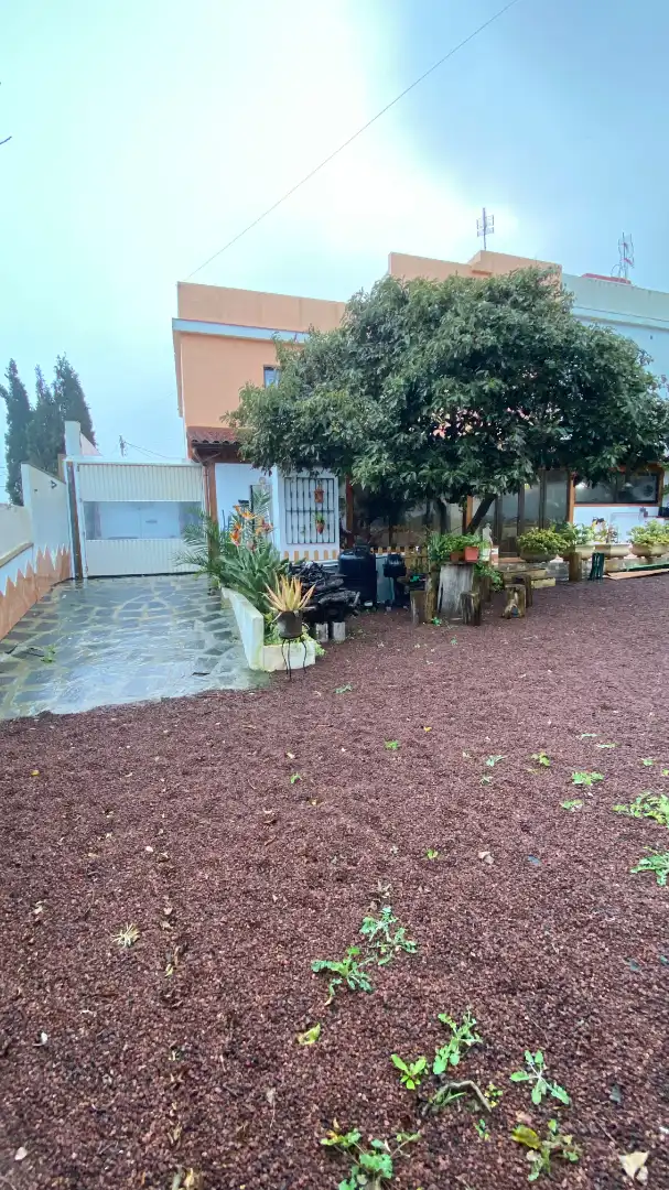 Jardín de Casa o chalet en venta en San Cristóbal de la Laguna con Jardín privado, Terraza y Trastero