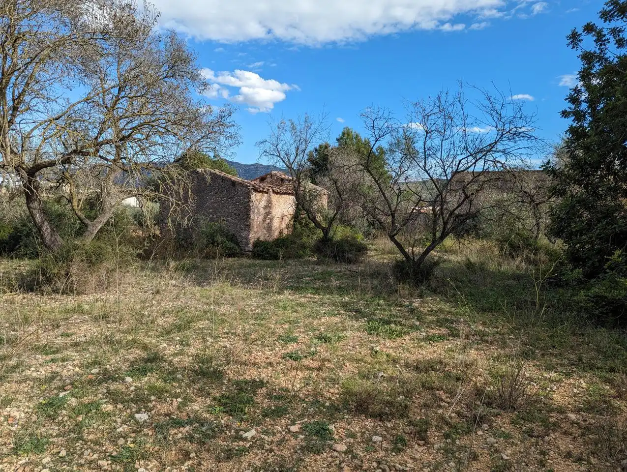 Finca rústica en venda en Ulldecona