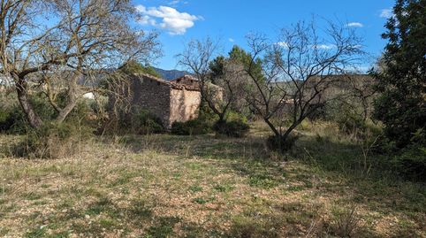 Foto 5 de Finca rústica en venta en Pantanet, Ulldecona, Tarragona