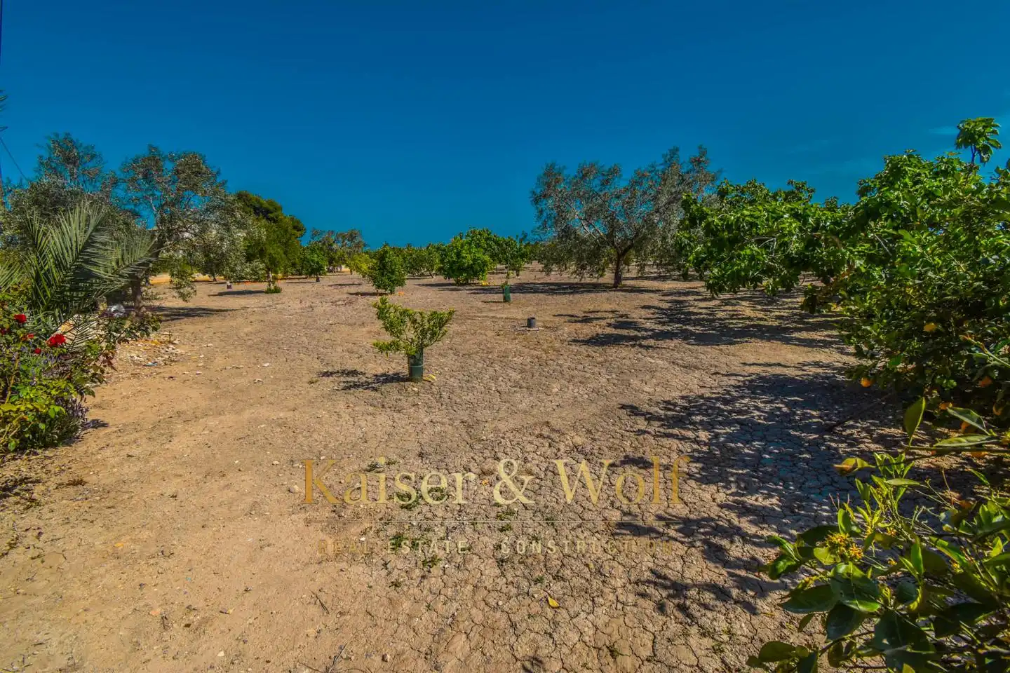 Residencial en venda en Callosa de Segura