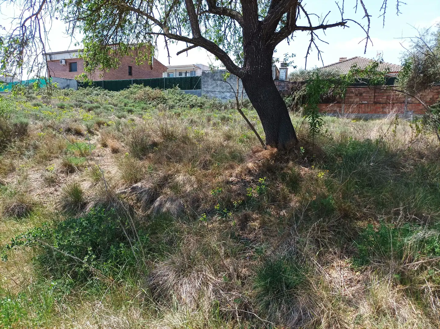 Terreno residencial en venta en Castellgalí, imagen 4