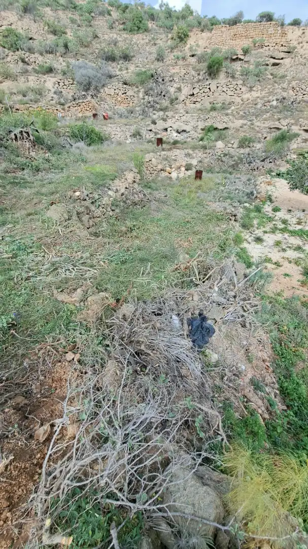 Terreno rustico in vendita a Arico, imagen 15