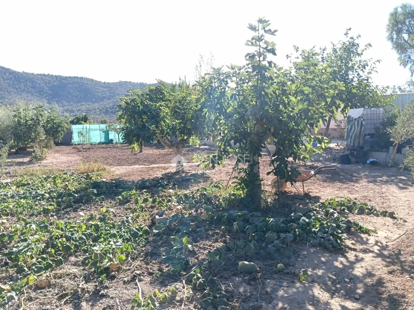 Chalet con jardín en venta en Pedanías Oeste, imagen 23