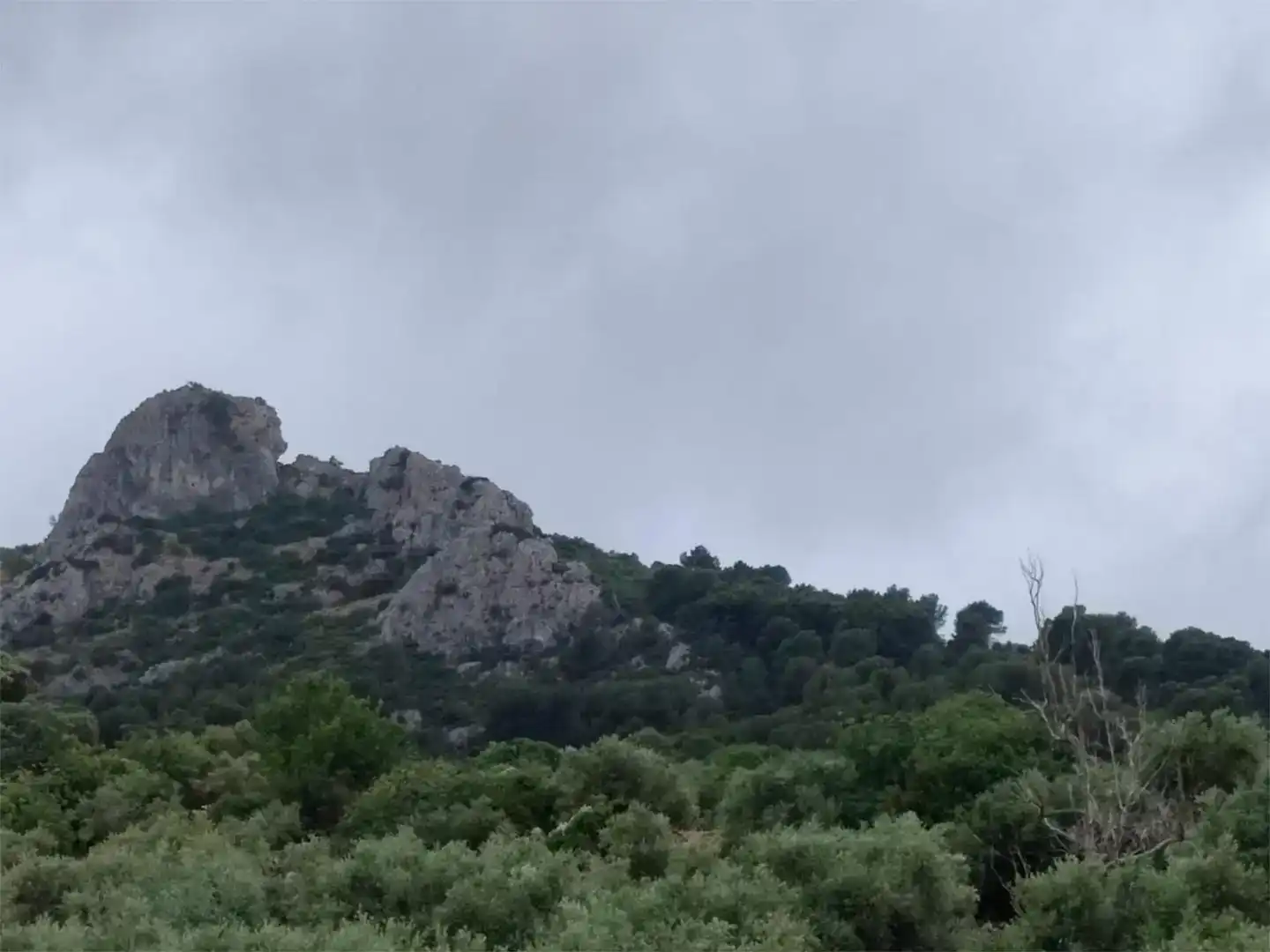 Terreno en venta en Jaén