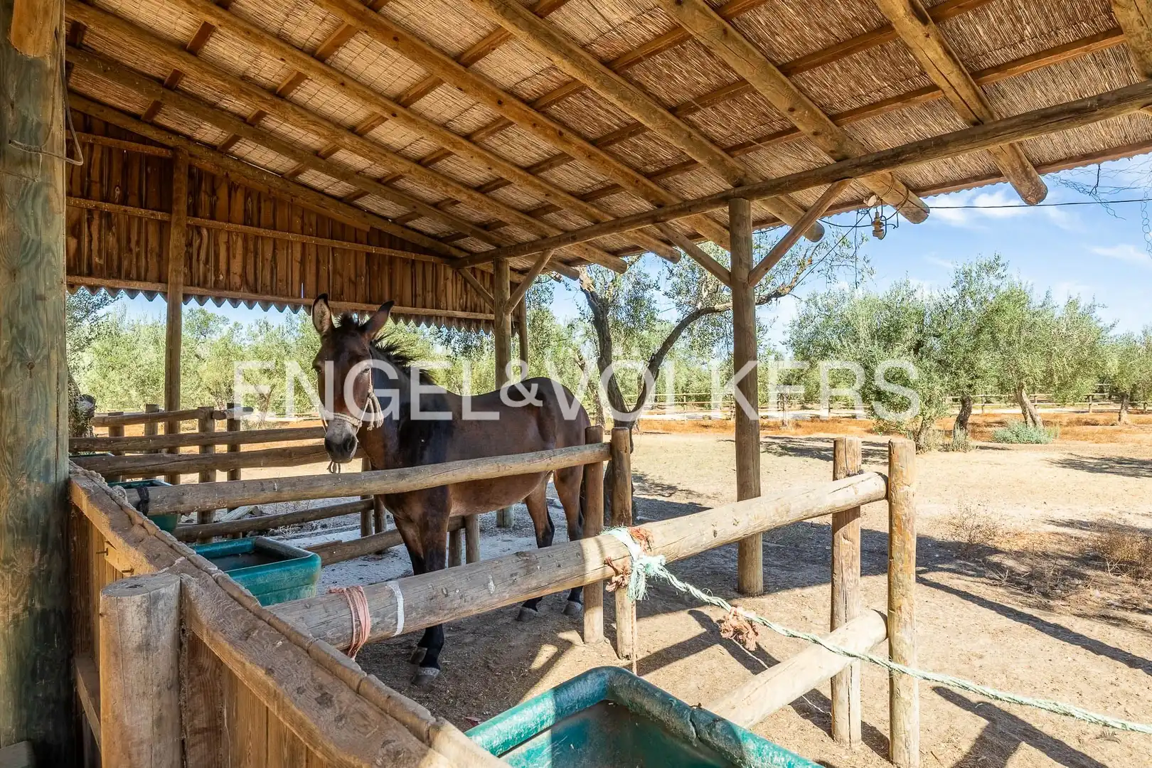 Casa rústica con jardín en venta en Casco Antiguo, imagen 92