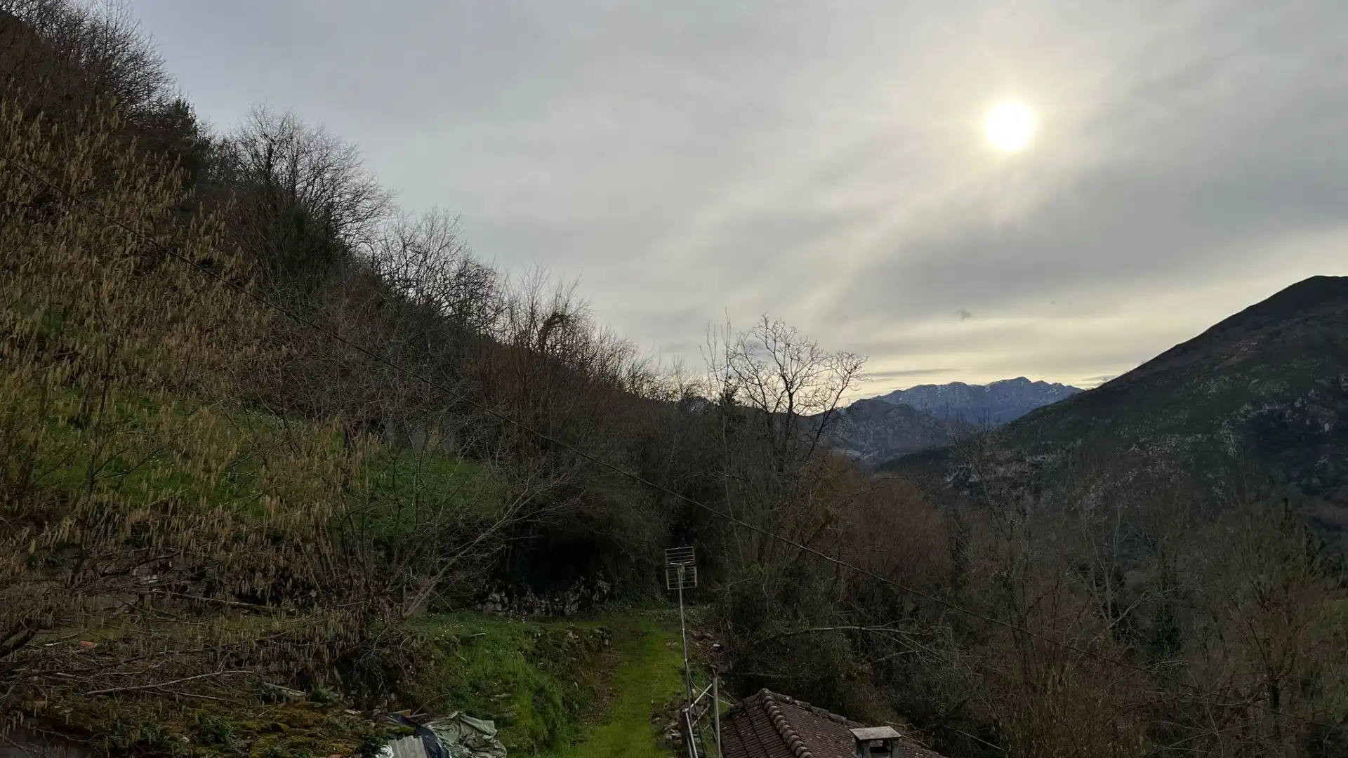 Garden of Houses for sale in Amieva