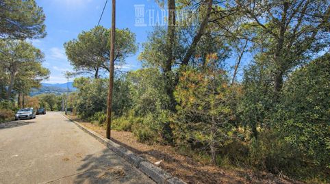 Terreno en venta en Seva El Pinós