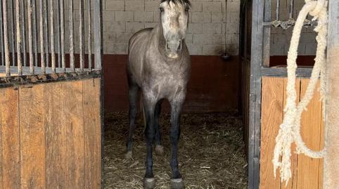 Photo 4 of Country house for sale in San Pedro de Mérida, Badajoz