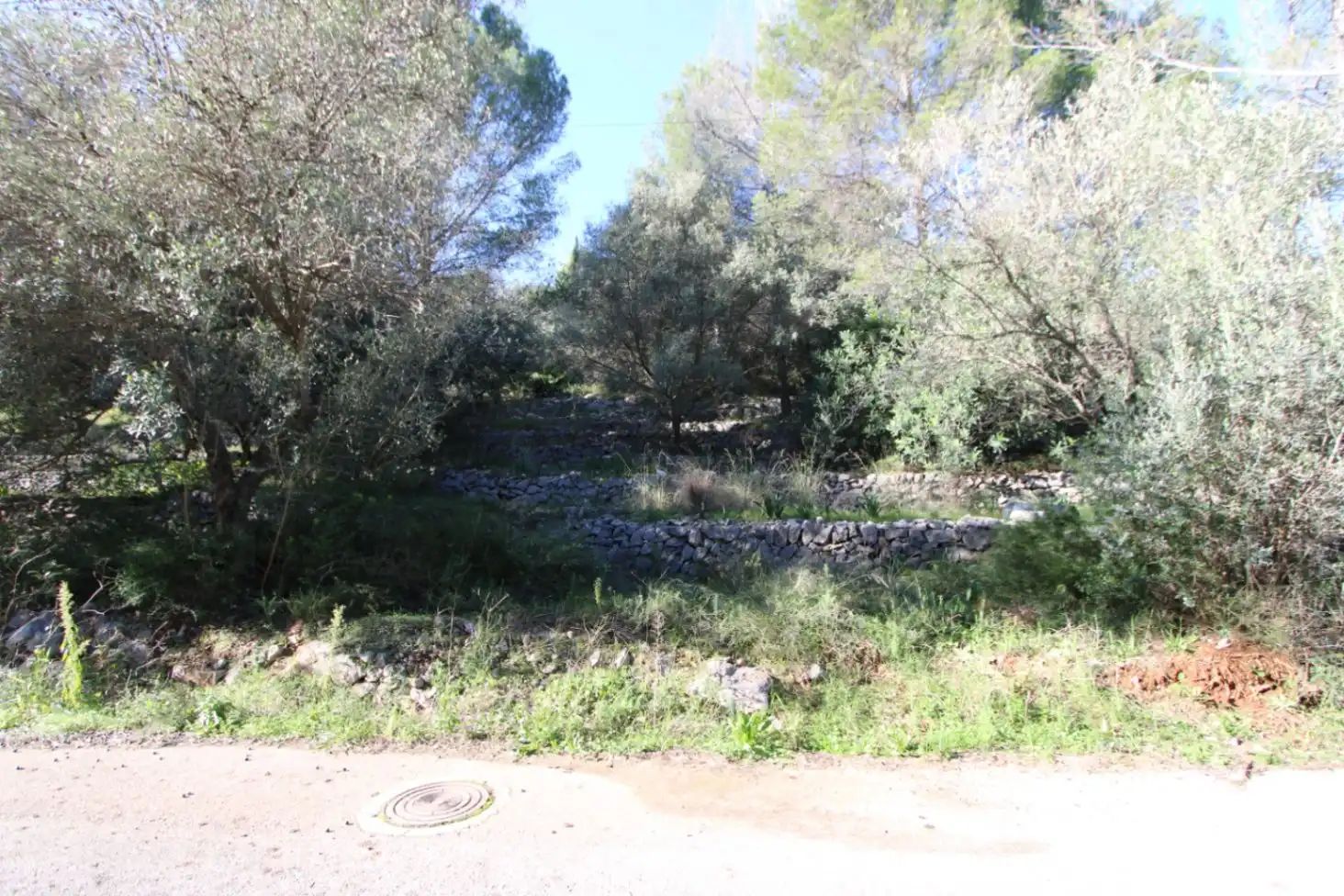 Residential land for sale in Orba, imagen 6