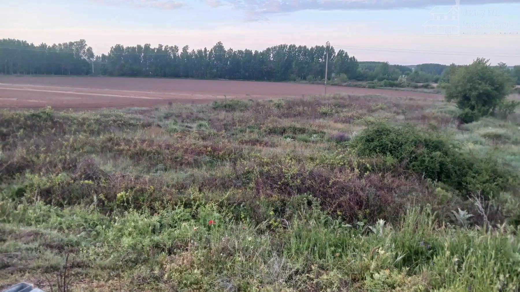 Lands and plots for sale in Valverdón, imagen 10