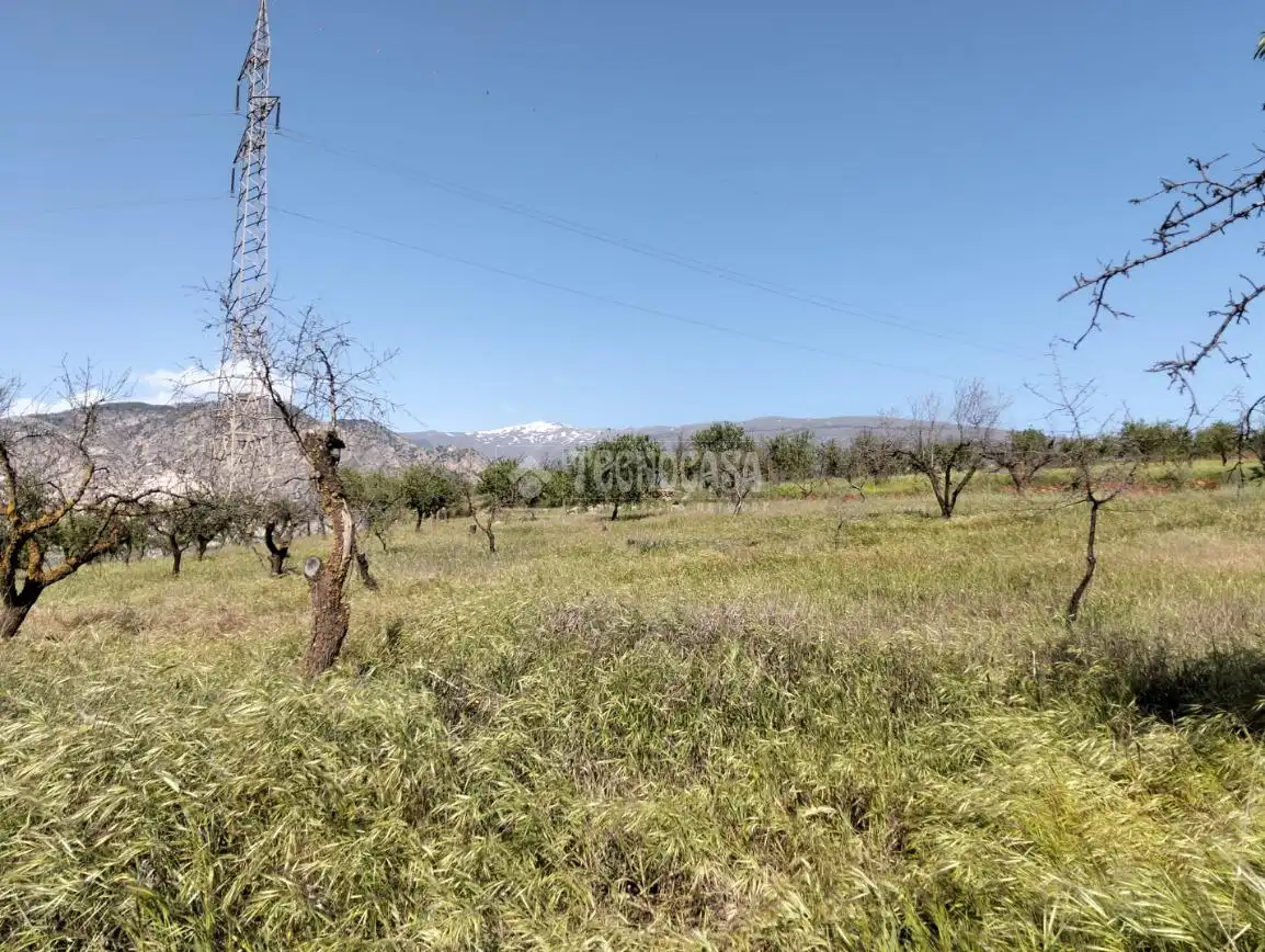 Rural land for sale in Dúrcal, imagen 20