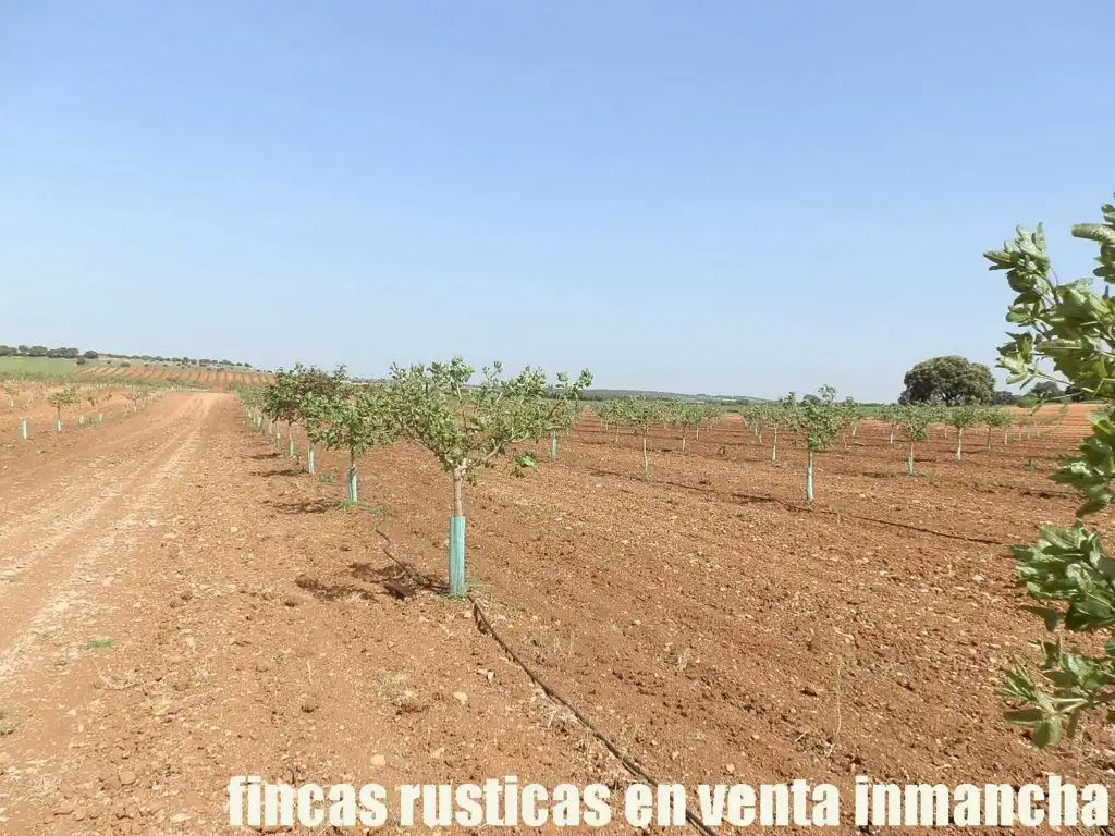 Terreni e lotti in vendita a Belmonte, imagen 8
