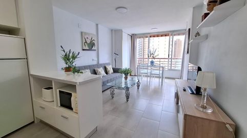 Foto 3 de Piso en venta en Calle de Berna, Rincón Alto, Benidorm