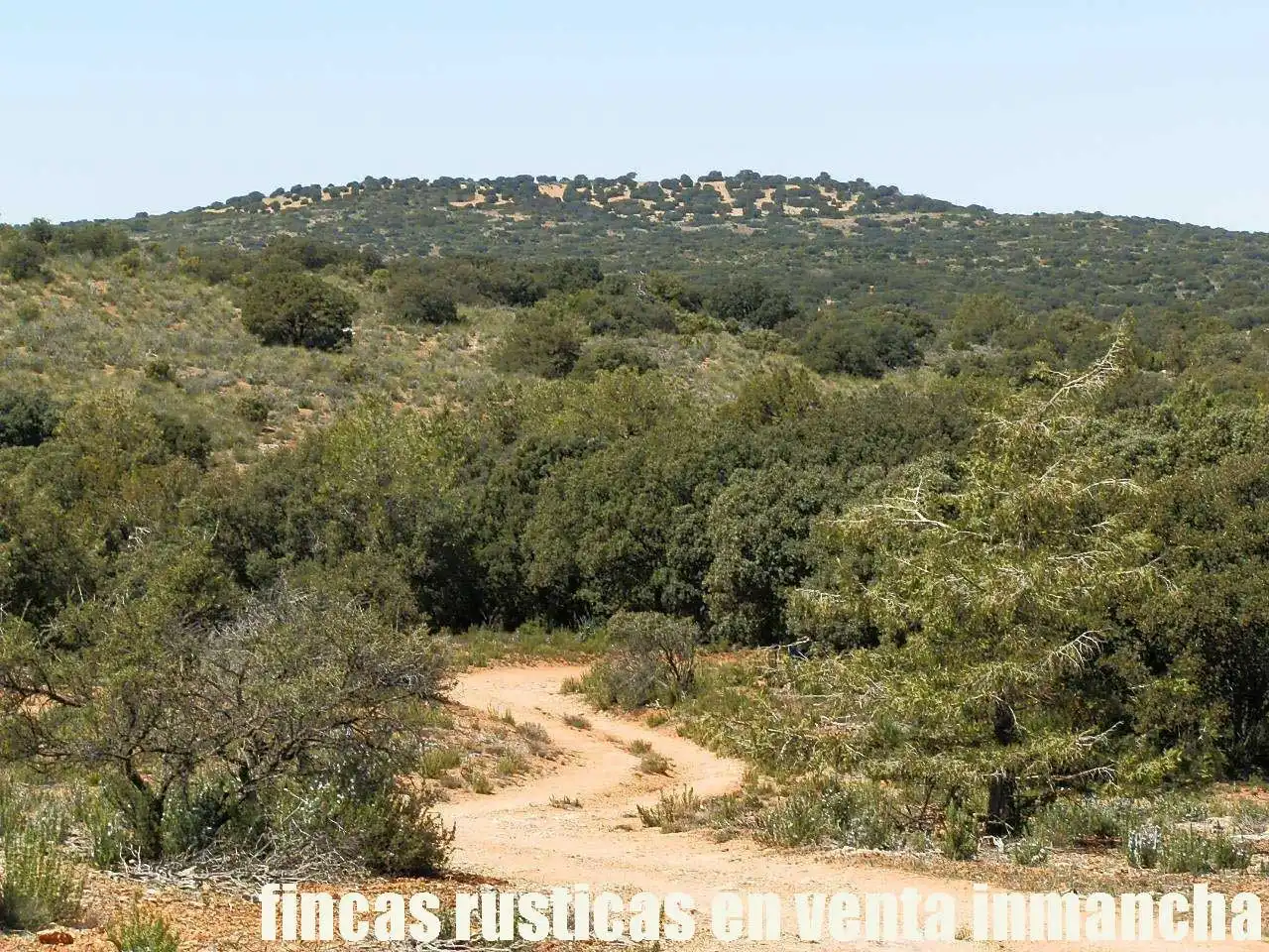 Lands and plots for sale in Ossa de Montiel, imagen 21