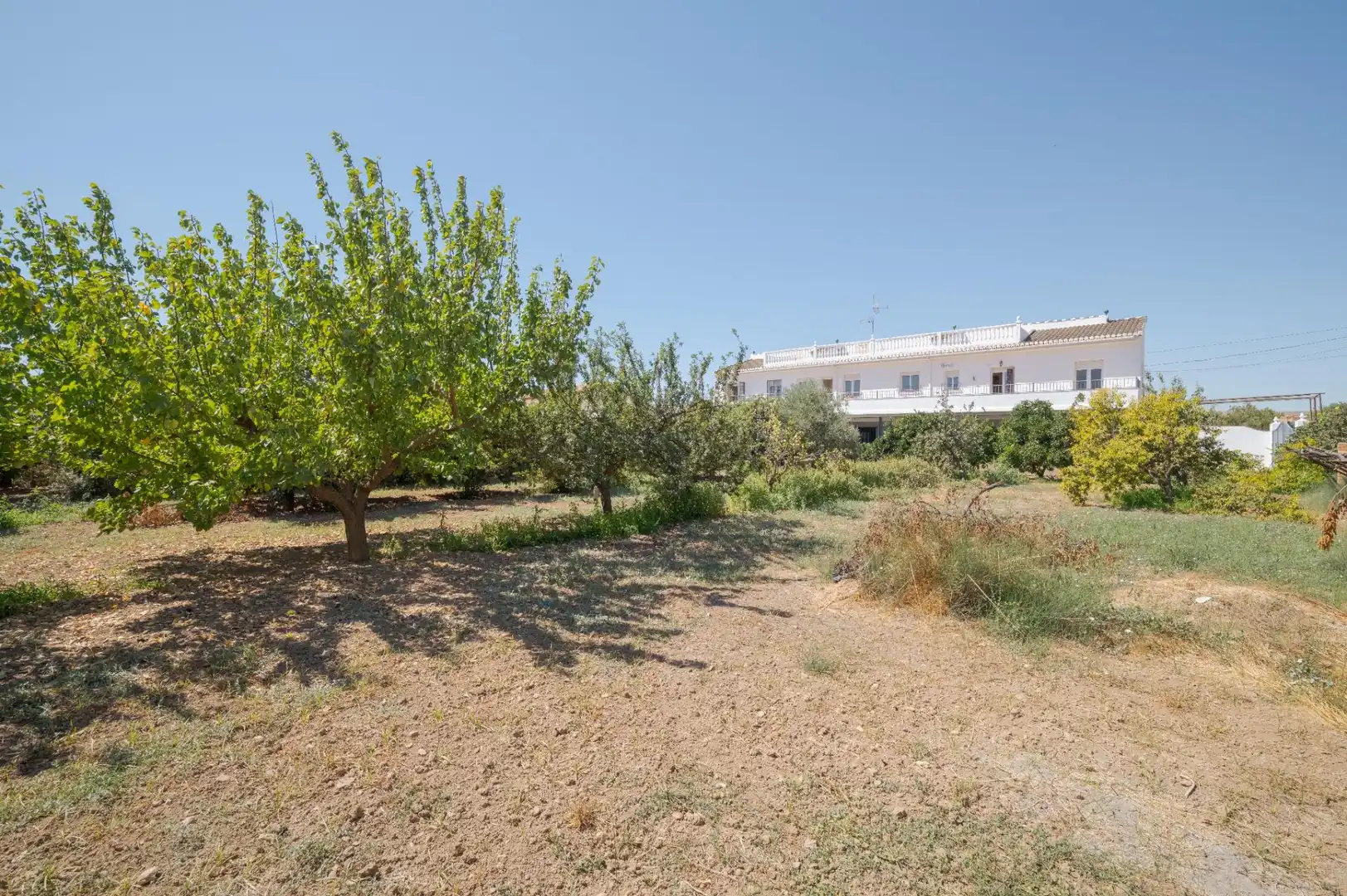 Villa à vendre à DISEMINADOS, imagen 12