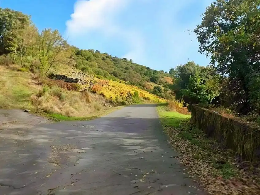 Vista exterior de Terreno en venta en A Teixeira 