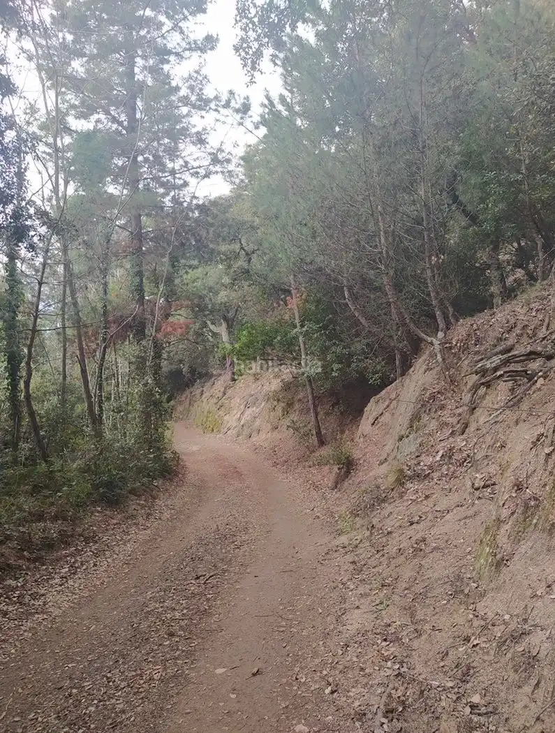Terreno rústico en venta en Carrer Prat de la Riba 1, imagen 14
