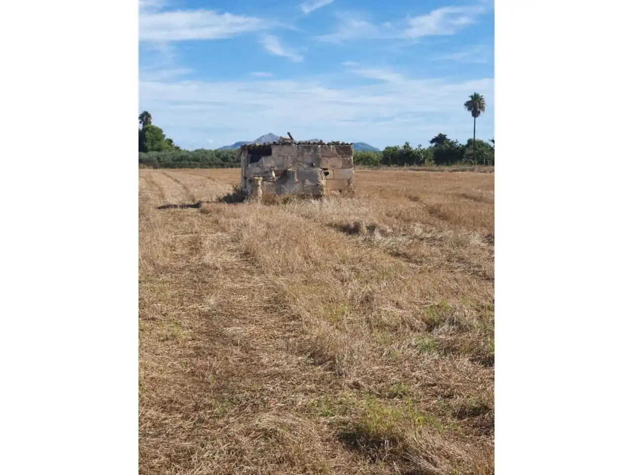 Terrain rustique à vendre à Muro