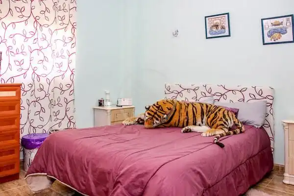Maison à vendre à Avenida De Campillo Del Rio, imagen 14