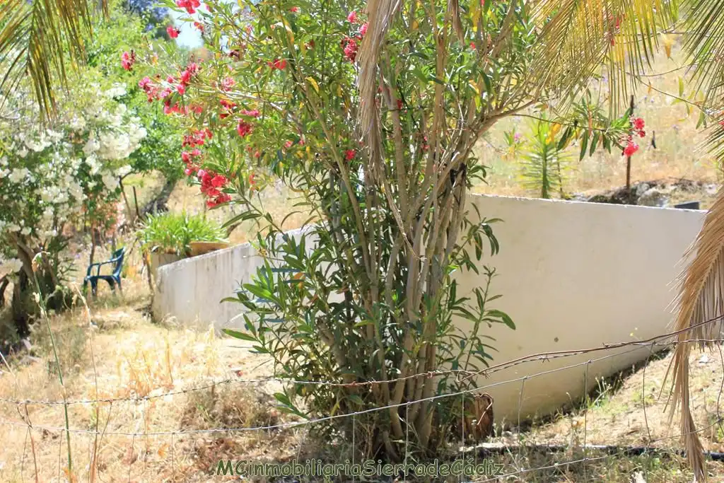 Garden of Country homes for sale in El Gastor  with Private garden, Terrace and Storage room