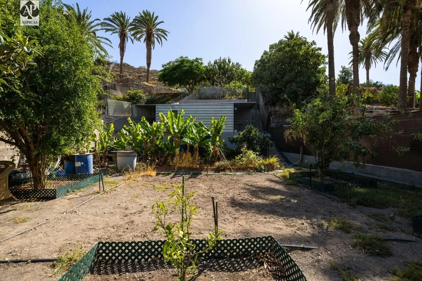 Jardín de Finca rústica en venta en Telde con Jardín privado, Terraza y Trastero