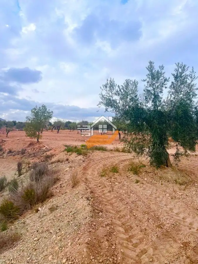 Residential land for sale in Vélez-Rubio, imagen 7