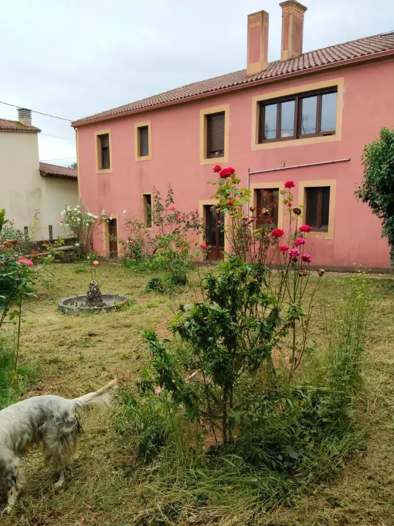 Casa rústica con jardín en venta en Vila de Cruces, imagen 37