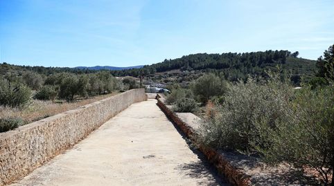 Foto 4 de Terreny en venda a Barona, Vall d'Alba, Castellón