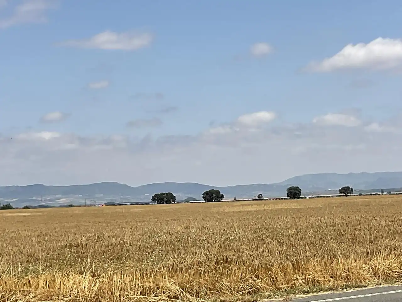 Land for sale in Bañares