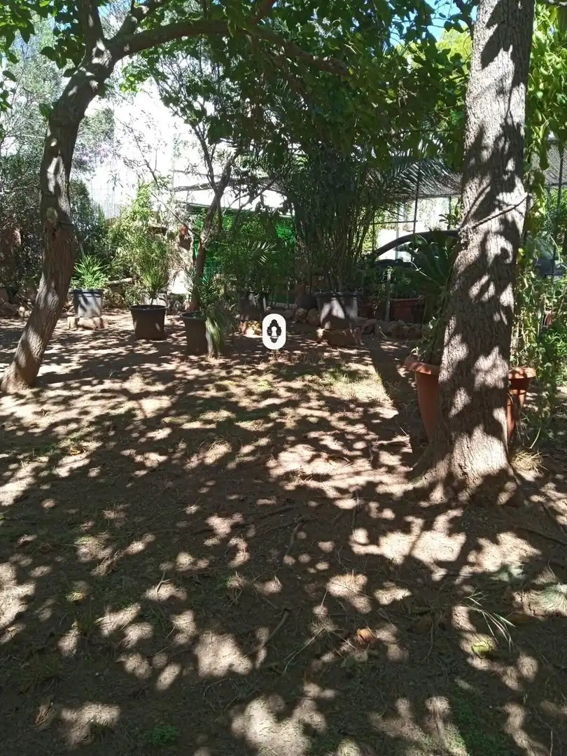 Garten von Residential zum Verkauf in Calvià