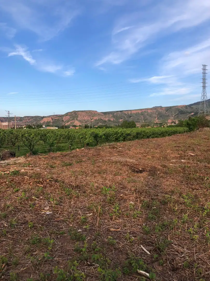 Terreni e lotti in vendita a Albelda de Iregua, imagen 10