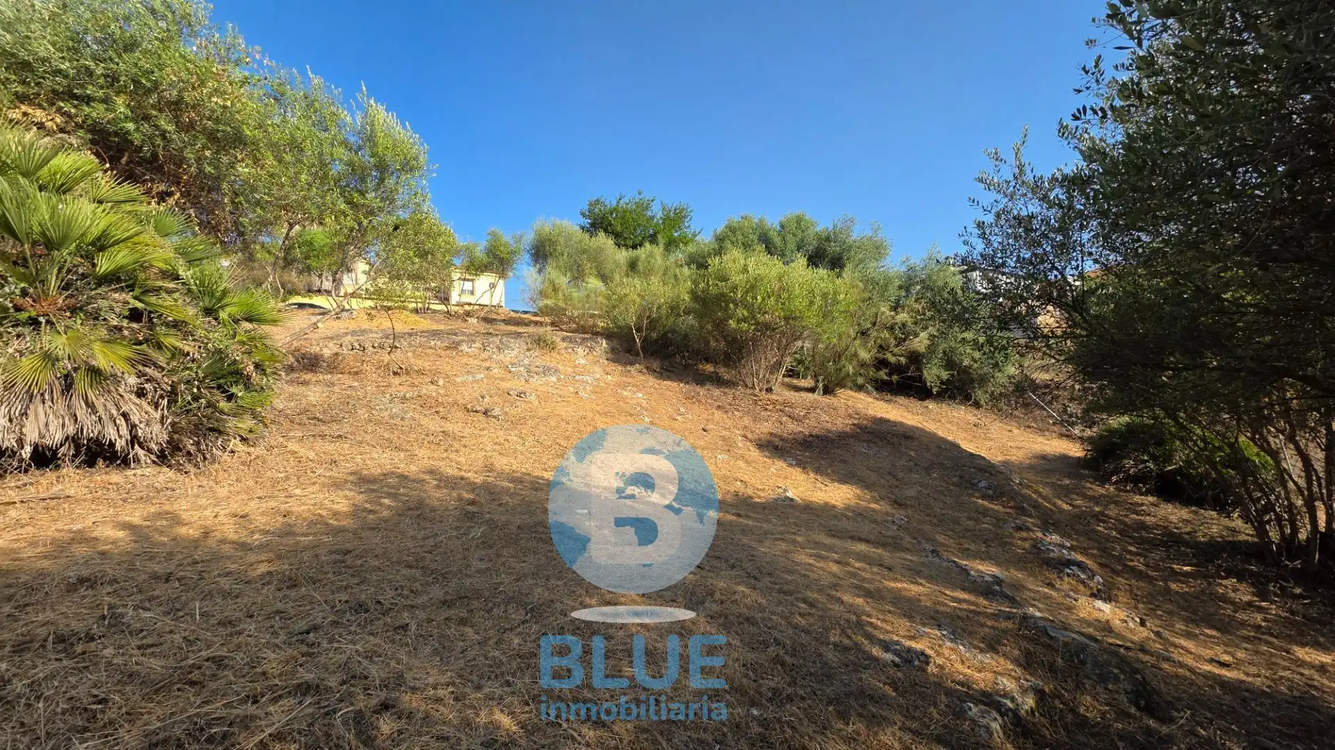 Residential land for sale in Almodóvar del Río, imagen 13
