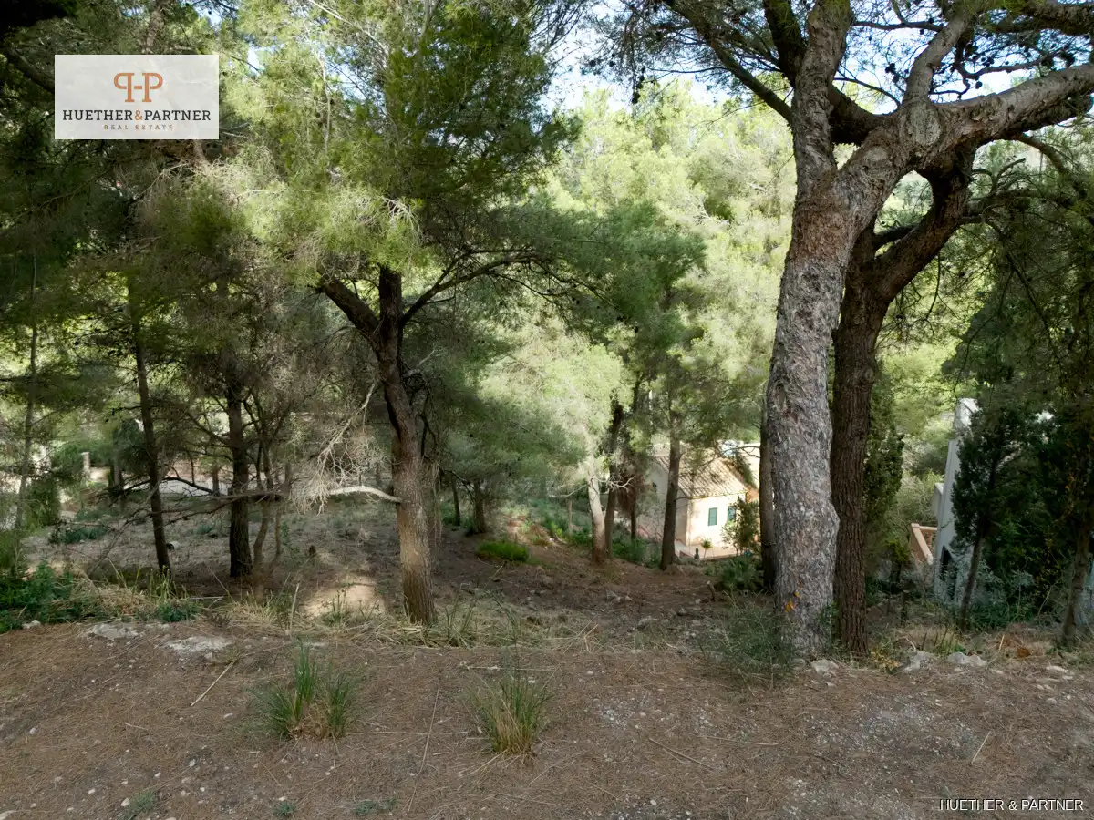 Terreno residenziale in vendita a Canyamel, imagen 3