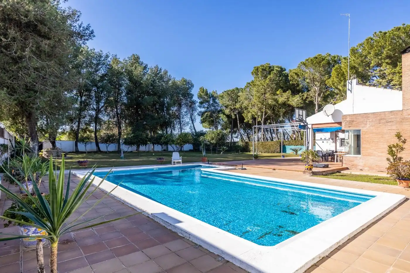 Piscina de Casa o chalet en venta en Carmona con Aire acondicionado, Jardín privado y Trastero