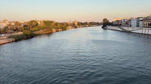 Foto 4 de Piso en venta en Calle Jandula, Pedro Salvador - Las Palmeritas,  Sevilla Capital
