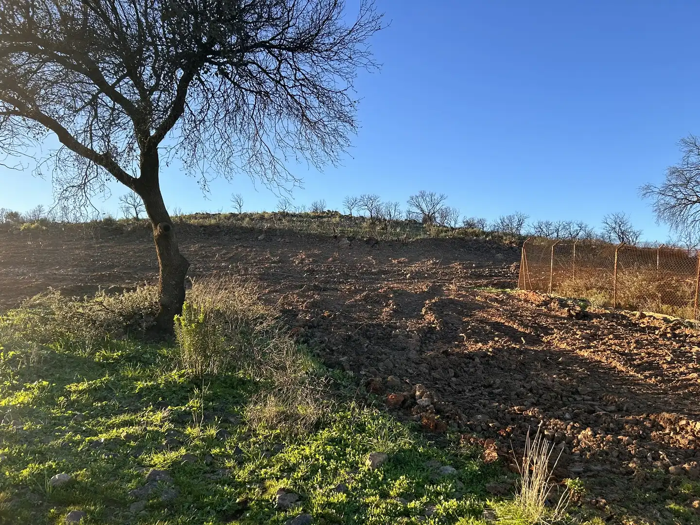 Terreny rústic en venda a Peraleda del Zaucejo, imagen 12