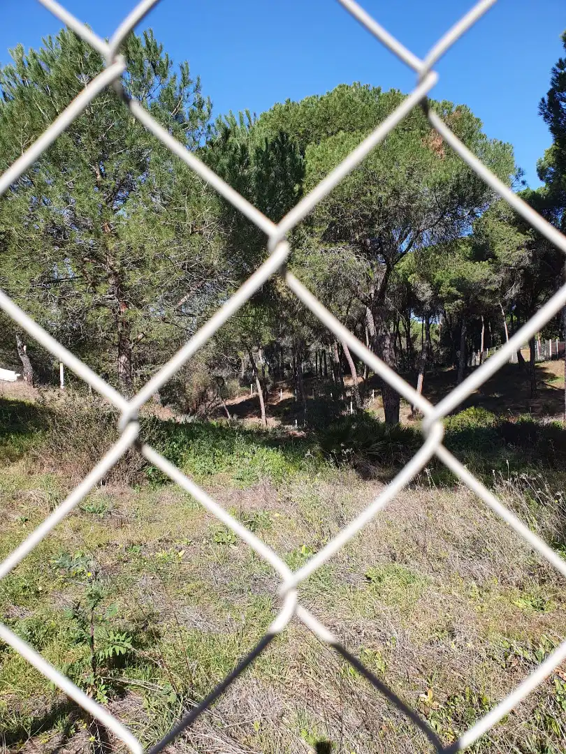 Terreno en venta en Moguer