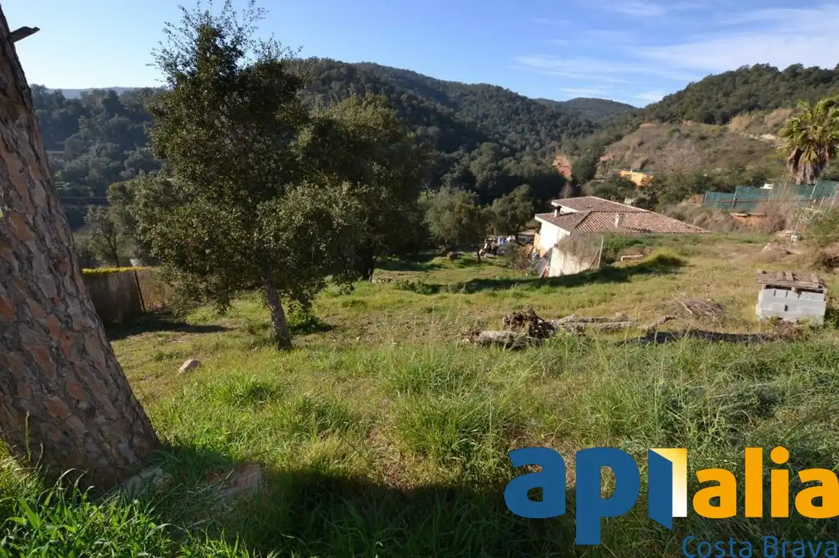 Residential land for sale in Carrer Avet 26, imagen 6