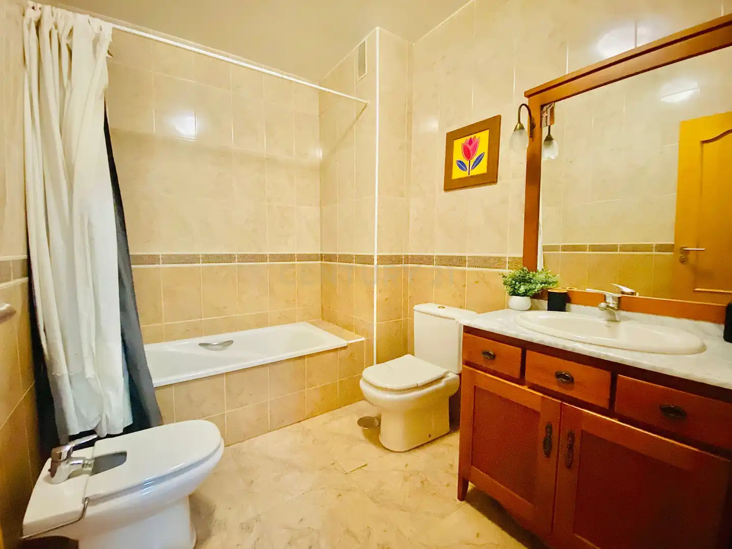 Bathroom of Apartments for sale in El Ejido