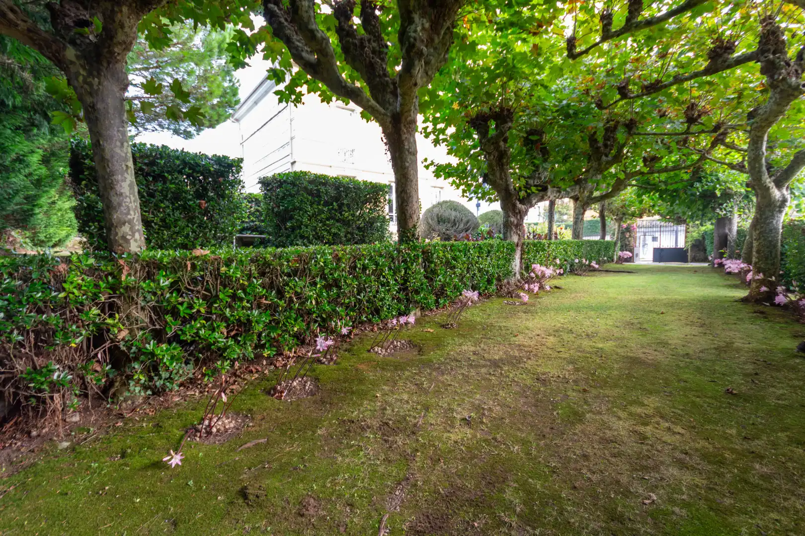 Villa con giardino in vendita a Calle Isla de la Erbosa 1A, imagen 20