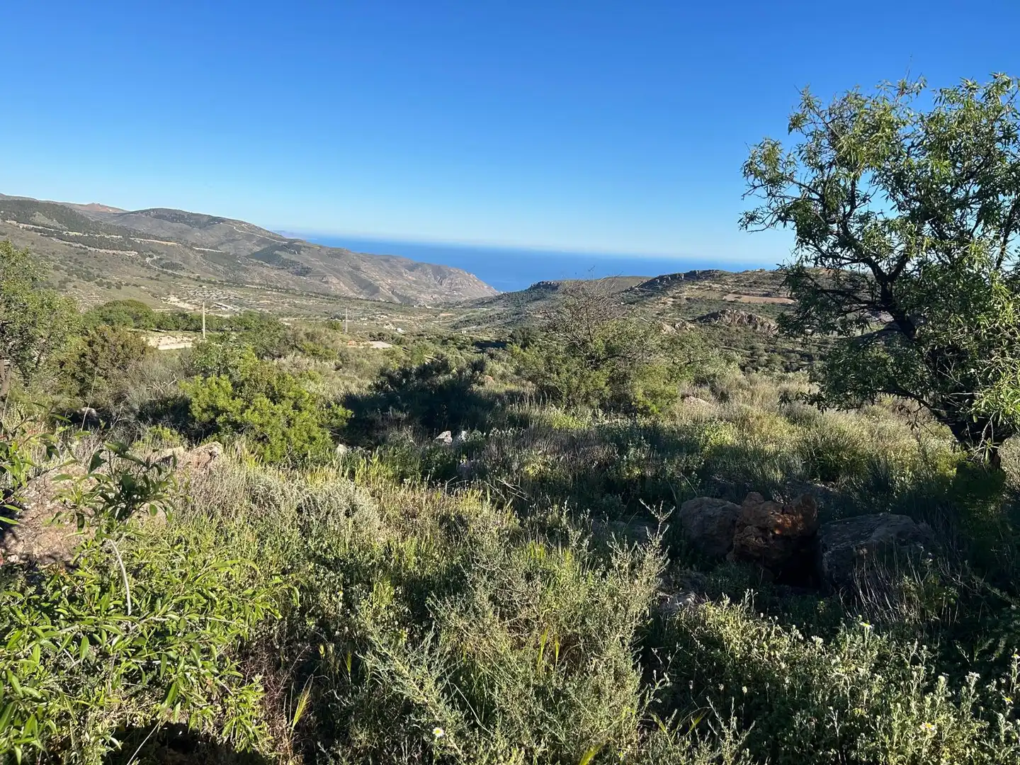 Terreno en venta en Felix