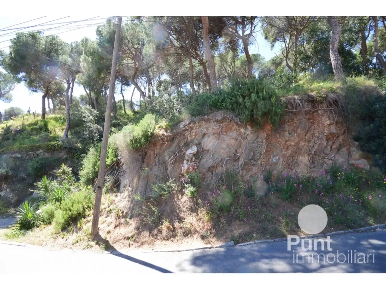 Exterior view of Land for sale in Premià de Dalt